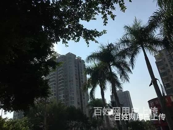 对于晋城商品房抵押贷款|房屋车子抵押个人急用钱应急贷款 - 图片 1